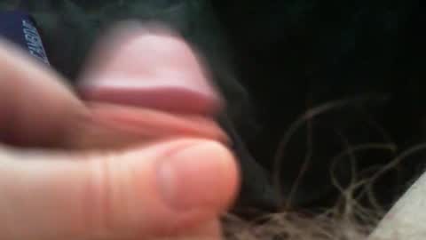 bullemoe online show from 03.06.26