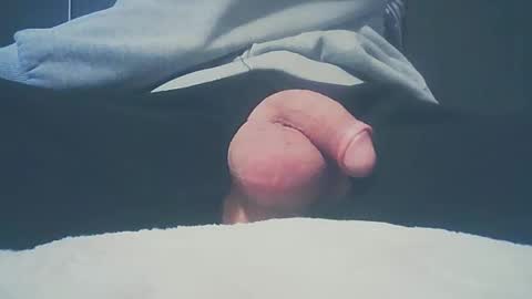 Dutch cock online show from 02.16.25