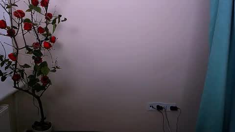 Snapshot of bunnybloom_ chatting on 10.21.25 Ariel online show from 10.21.25