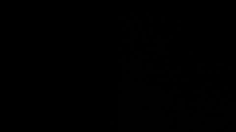 Snapshot of bunnyy09 chatting on 01.30.25 Jess online show from 01.30.25