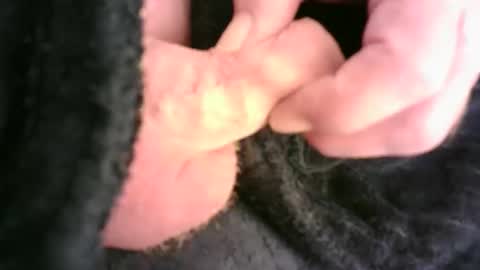 Snapshot of burnside13 chatting on 11.23.25 Hamish online show from 11.23.25