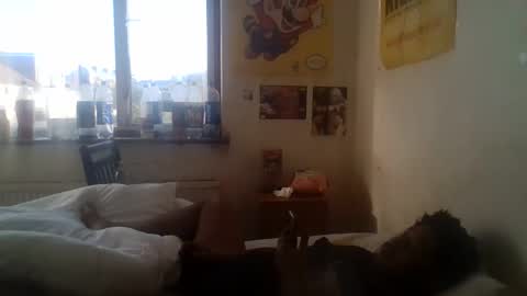 Richabus2 online show from 10.06.25