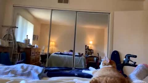 busty_2008 online show from 03.20.26