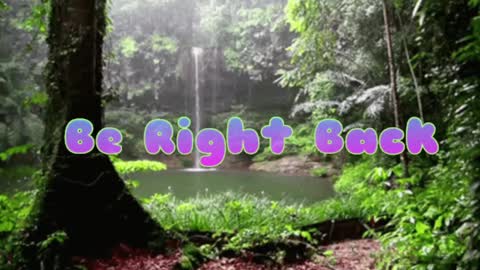 Butterfly and Bear online show from 12.08.24