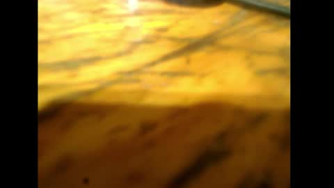 bzxxbzh online show from 02.15.26