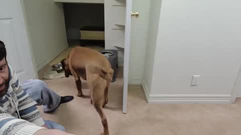 c2cmee online show from 12.26.24