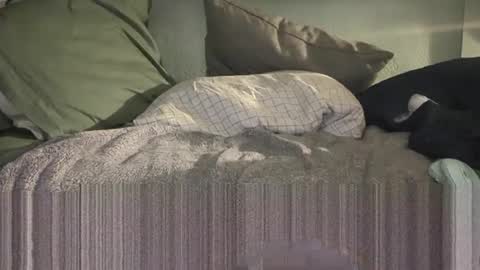 1DontR3member online show from 01.14.26