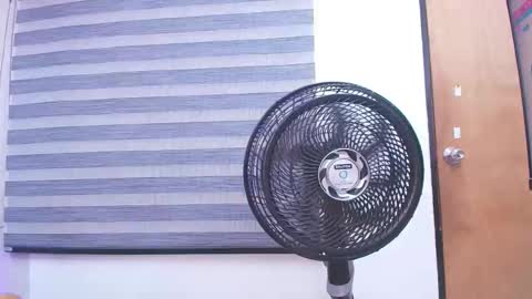 Carolina online show from 02.19.25