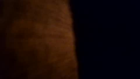 cabox online show from 11.05.25