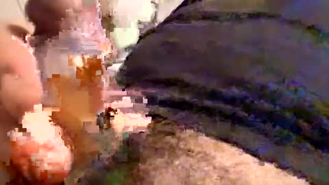 Snapshot of cactus_1041 chatting on 12.30.24 Cactus1041 online show from 12.30.24