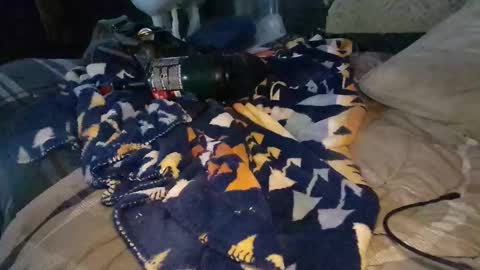 Calisguitar online show from 12.29.24