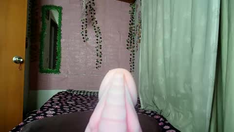 paula online show from 04.12.26