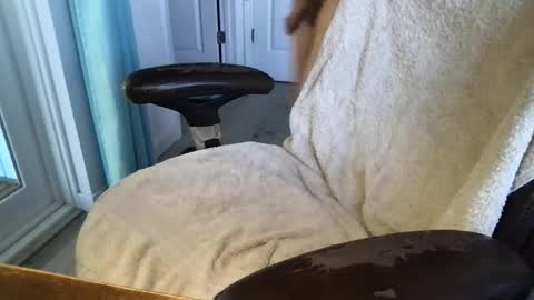 cals16 online show from 03.18.26