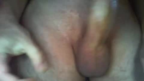 calypso online show from 10.29.25