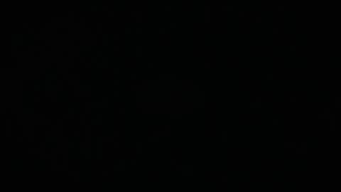 Snapshot of camaleon692021 chatting on 03.17.26 Charly online show from 03.17.26