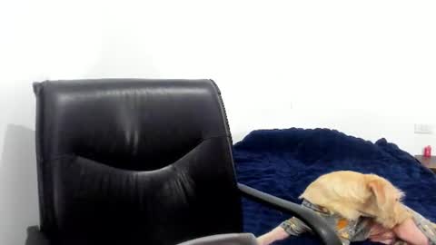 Cami online show from 06.12.26