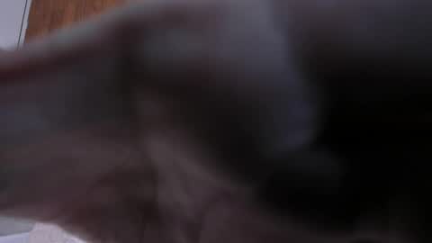 camilaa_smith_ online show from 04.02.26