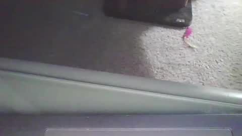 Snapshot of cammyman6900 chatting on 09.11.25 cammyman6900 online show from 09.11.25