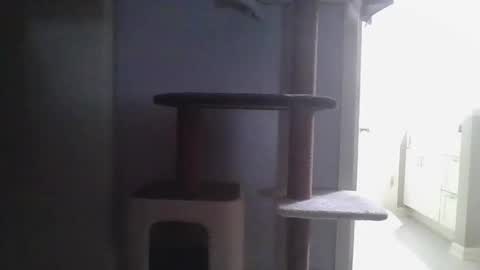 Snapshot of cammyman6900 chatting on 11.21.25 cammyman6900 online show from 11.21.25