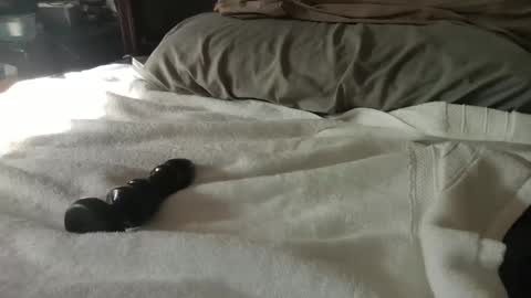 Snapshot of canadianboy88 chatting on 01.27.25 CanadianBoy88 online show from 01.27.25