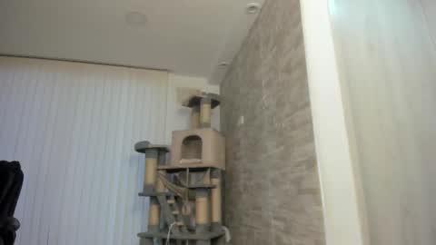 candy_queen81 online show from 11.15.25