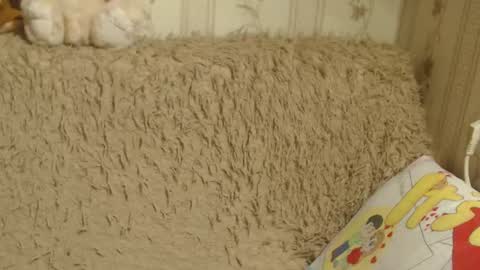 Snapshot of candylady13 chatting on 01.19.25 say meow and send tips  online show from 01.19.25
