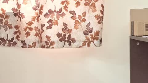 Snapshot of captain_juicyprecum chatting on 03.02.25 captian juicyprecum online show from 03.02.25