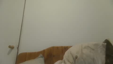 caravibugue online show from 12.07.24