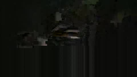supersexycardie online show from 05.16.26