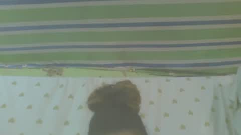 carinesexy69 online show from 10.31.25