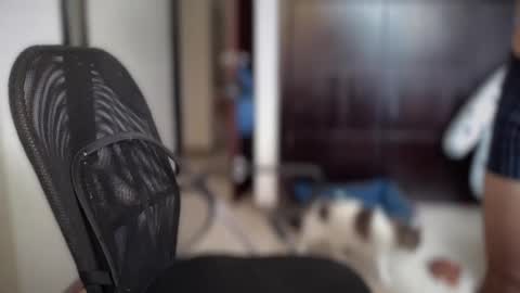 Snapshot of carlcarlinches4 chatting on 03.10.25 carlcarlinches4 online show from 03.10.25