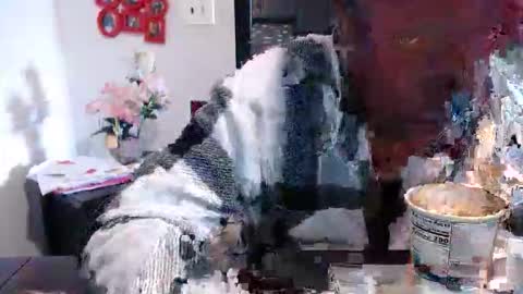 Carlie online show from 03.13.26