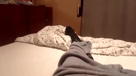 carlitito1 online show from 10.06.25