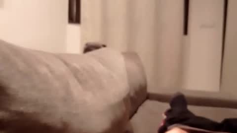 carlitito1 online show from 10.30.25