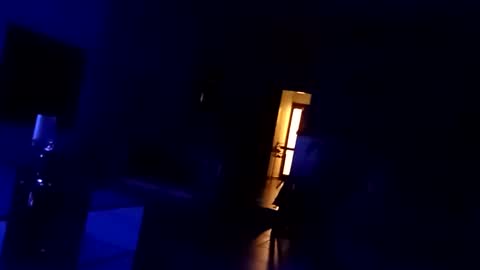 carlitito1 online show from 11.18.25