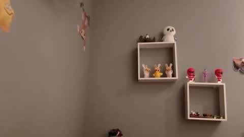 carlitito1 online show from 11.19.25