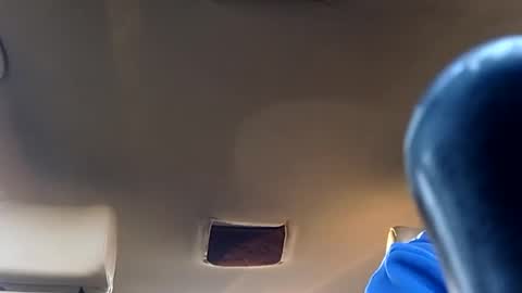 carlitito1 online show from 02.03.26