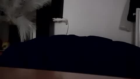 Snapshot of carlosandvivi13 chatting on 10.11.25 carlosandvivi13 online show from 10.11.25