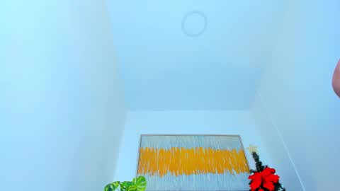 Andrea online show from 01.08.25