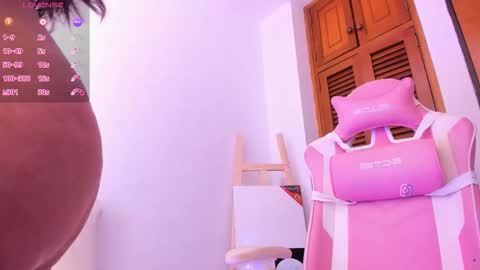    online show from 02.28.26