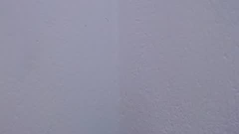 carolina_zabala_19 online show from 07.18.26