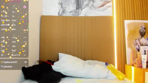 Snapshot of carolinecastle chatting on 03.21.26 OSNA online show from 03.21.26