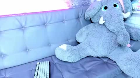 Snapshot of carolinejesh chatting on 02.17.26 carolinejesh online show from 02.17.26