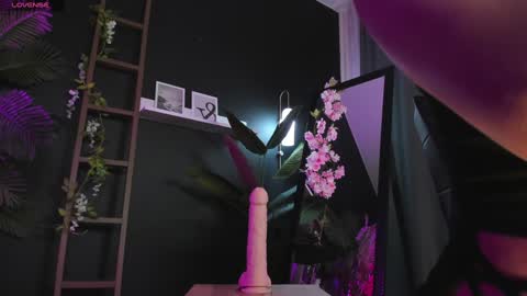 assie online show from 02.02.25