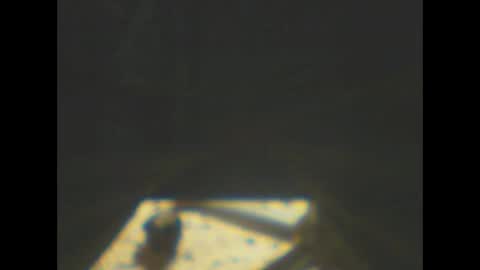 Snapshot of castells chatting on 01.08.26 castells online show from 01.08.26