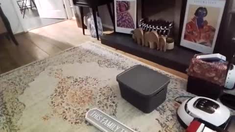 Snapshot of casuallyunhinged36 chatting on 02.09.26 Bakewell Trixie online show from 02.09.26