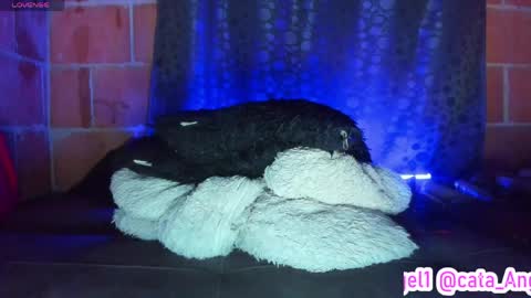 Cata Angel online show from 04.28.26