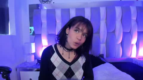Cat  online show from 12.12.24