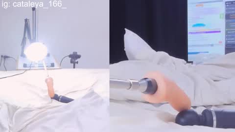 Cattleya Annie  online show from 02.21.25