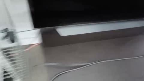 cbg65 online show from 02.04.26